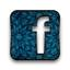 FaceBook Fan Page